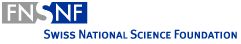 logo snf en n